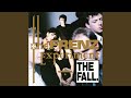 The Fall - The Frenz Experiment