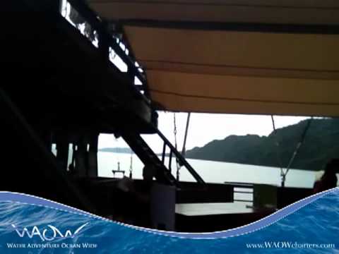 On Board - WAOW - 10:29am Friday 22nd of February 2013