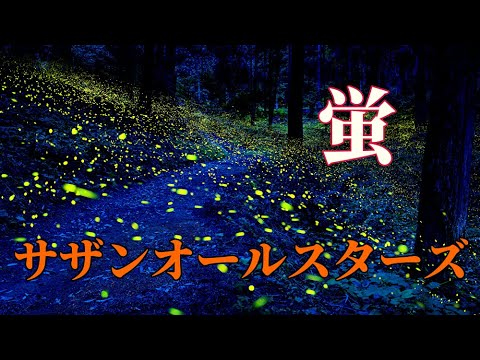 蛍　サザンオールスターズ　cover