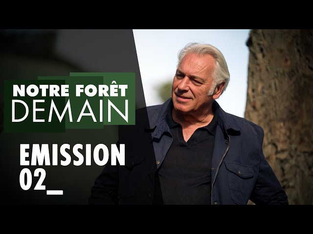 🌳INÉDIT Notre forêt demain, Épisode 2, 27.05.23