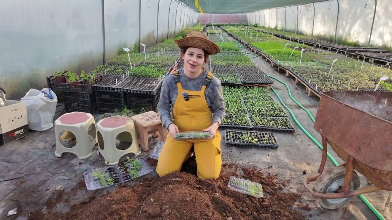 SIFIRDAN BALKON BAHÇECİLİĞİ ÖĞRENİYORUZ  🌸 (farmerlife)