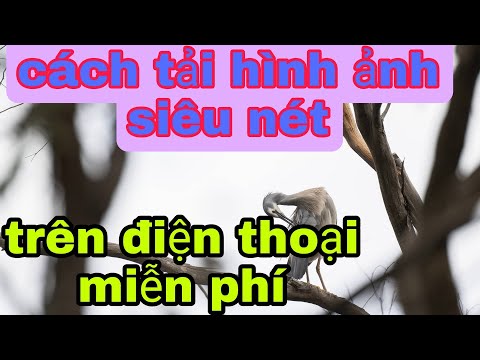 #1 Cách tải video hình ảnh siêu nét về điện thoại bằng app miễn phí Mới Nhất