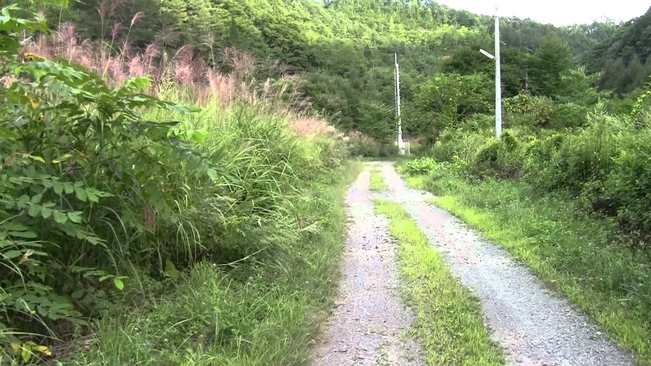 【廃止】山田線浅岸駅前を歩いてみた【秘境駅】 YouTube