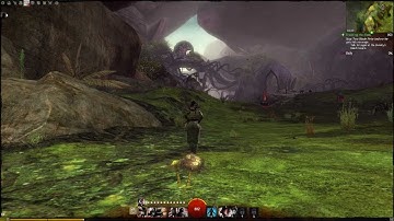 Guild Wars 2 visual bug?