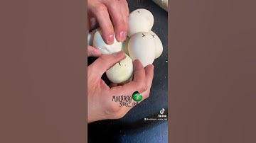 🐍 When good eggs go bad 🧪 #snakes #shorts  #ballpythonbreeding  #snakebreeder #pets #petsnakes