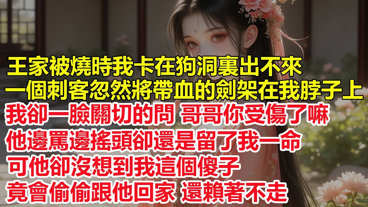 王家被燒時我卡在狗洞裏出不來，一個刺客忽然將帶血的劍架在我脖子上，我卻一臉關切的問，哥哥你受傷了嘛，他邊罵邊搖頭卻還是留了我一命，可他沒想到我這個傻子，竟會偷偷跟著他回家...