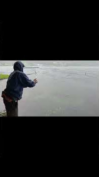 hujan deras pembawa rezeki nila babonnya naik #mancing #niladanau #bigfish #vidiomancing