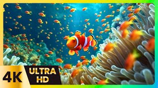Unwind in a 4K Symphony of Color & Calming Piano | Oceanic Journey