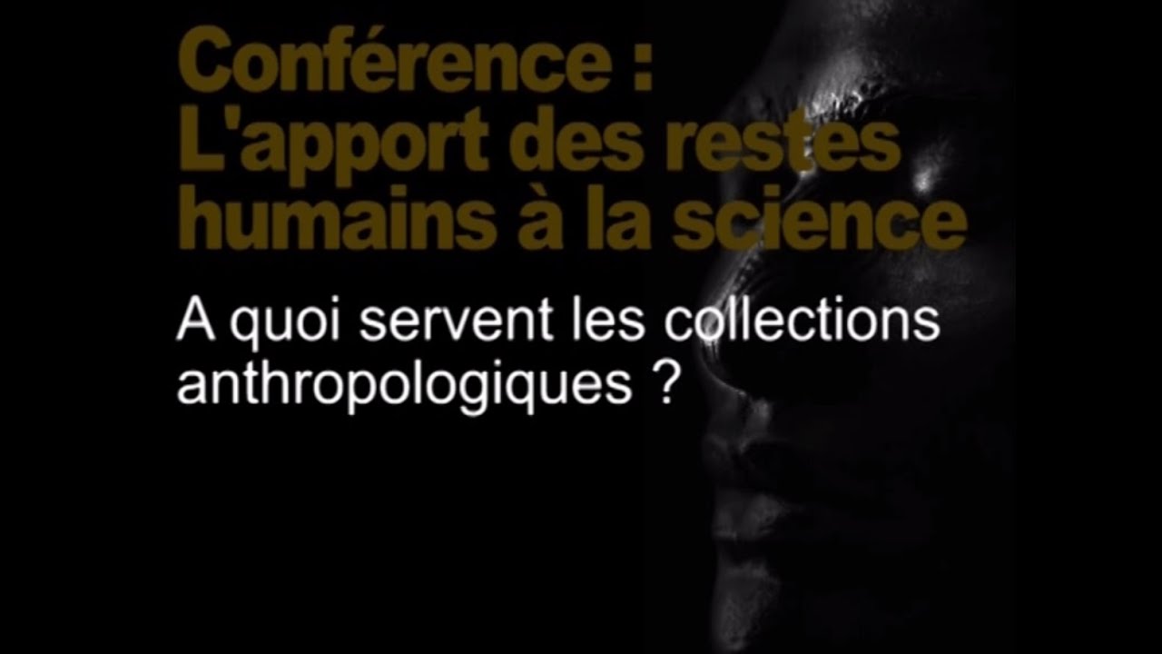 À quoi servent les collections anthropologiques ? (Restitution des têtes maories / tout public 1/3)