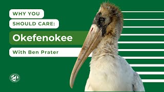Why You Should Care: Okefenokee National Wildlife Refuge