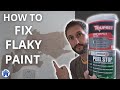 How to FIX FLAKY PAINT. Peeling paint DIY repair. How to use fine surface filler. Flaking paint fix!