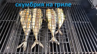 видео: Вкуснейшая скумбрия на гриле самый простой рецепт картинка: Вкуснейшая скумбрия на гриле самый простой рецепт