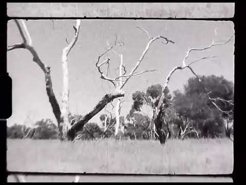 Immolation Arch poetry video (2024 Audio Remaster)