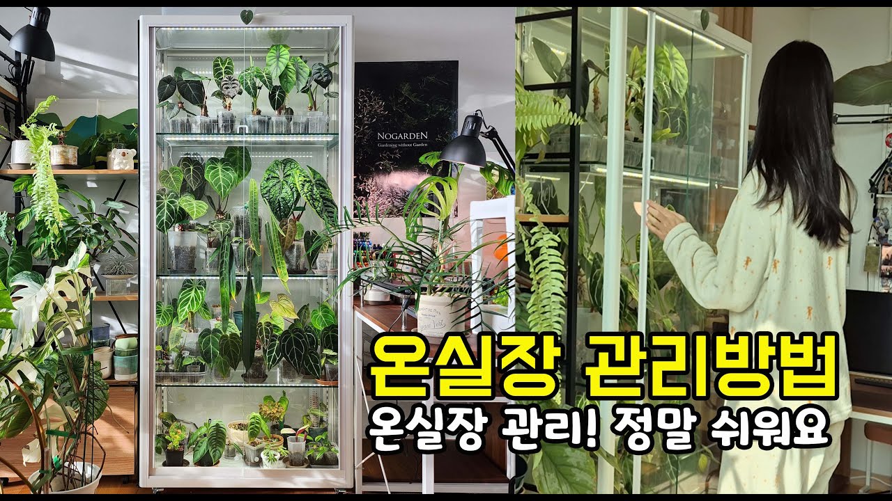 식물 온실장 관리방법 | 온실 속 식물도 구경하세요!