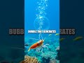 The Wonders of Animal Survival Skills