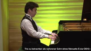 シューベルト：トリオ 演奏:(Rare Piano Music) - 演奏動画のサムネイル