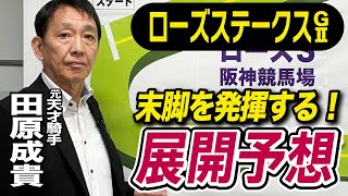 【ローズS2025】田原成貴が展開予想　切れ味比べを制すのはこの馬だ《東スポ競馬》