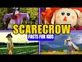 Understanding Scarecrows