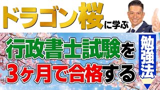 【無駄な勉強し過ぎです】30代開業行政書士が、最短で結果を出すための勉強法について徹底解説！