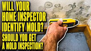 Will your home inspector report on mold? Should you get a mold inspection?