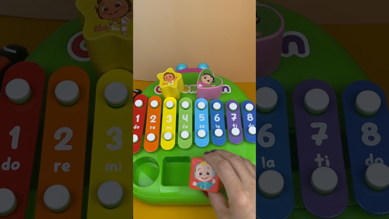 🌈 Xylophones shape sorter loop