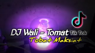 DJ Wali - Tomat (Tobat Maksiat) Remix Bootleg