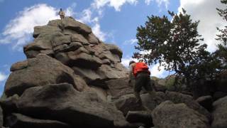 TreeFight - Protecting the White Bark Pine