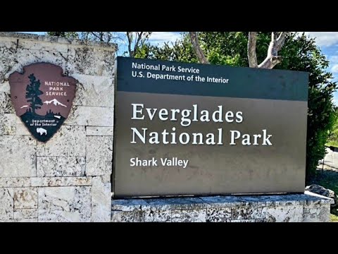 Video: Nacionalni Park Everglades Jednako Je Lijep Koliko I Prostran