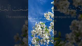 ولا تكونوا كالذين نسوا الله فانساهم انفسهم ماهر المعيقلي #قرآن #quran #fyp #viral #shorts