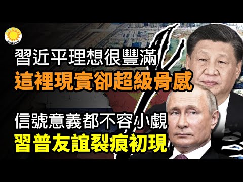 ?习近平理想很丰满 这里的现实却超级骨感;信号意义都不容小觑!习普友谊裂痕初现;三伏天河北大雁南飞 香河县下雪;拜登减免学生债务计划遭法院冻结