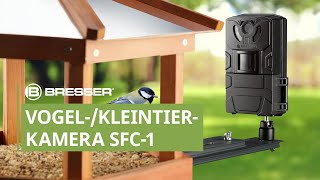 BRESSER Vogel-/Kleintier-Kamera SFC-1