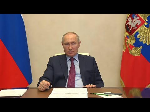 Владимир Путин поддержал предложение Минцифры создать цифровой паспорт на смартфонах