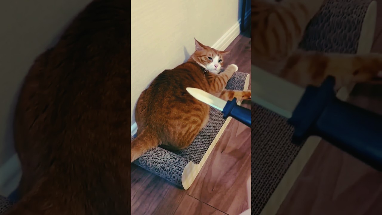 The end 😂😂😂 