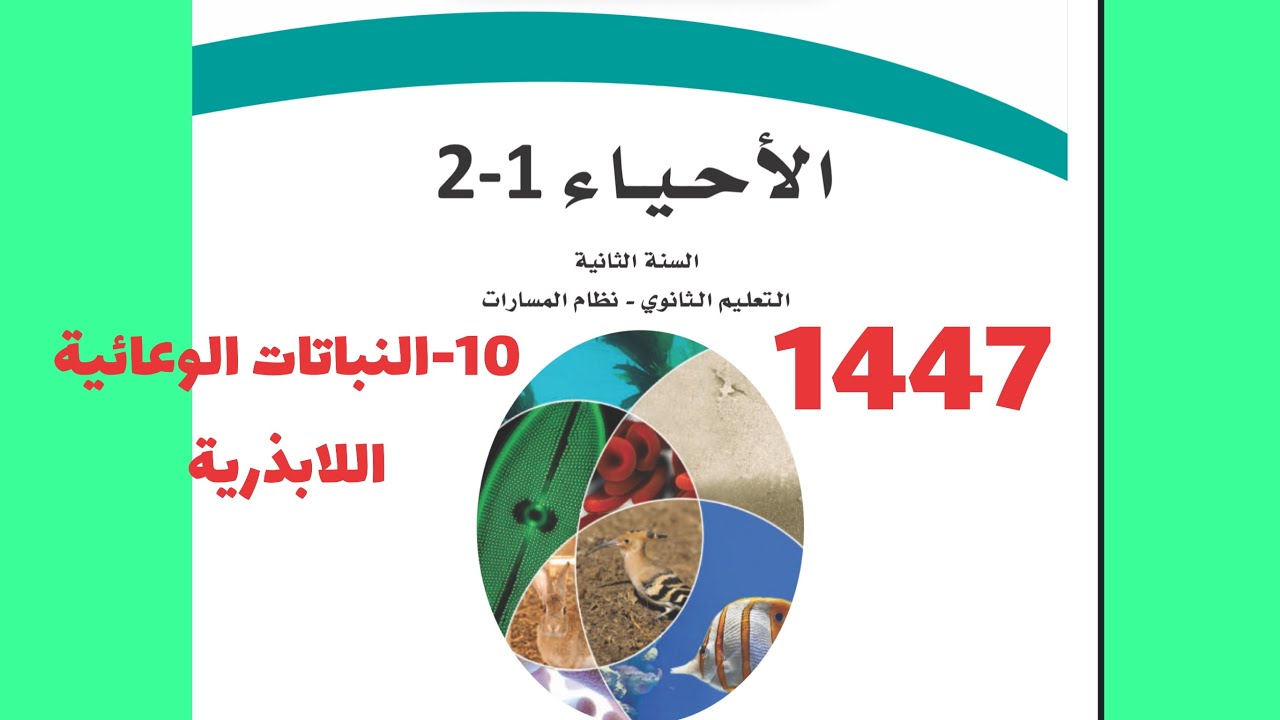 10- النباتات الوعائية اللابذرية( أحياء ثاني ثانوي 1447 )