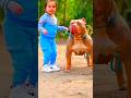 Pitbull _tutorial _edit_video😈🔥🥶 #pitbull #dog_days #doglover