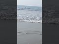 সাগর পাড়ে #shorts #sea
