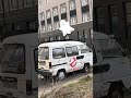 Если бы на заднем фоне. Что заброшенное здание, то совсем было бы похоже на фото из Японии