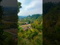 Serenity in Dehradun 🌄 | Nature & Music Shorts 🎵