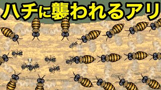 アリがハチと戦うとこうなるアリコロニーゲーム【 Pocket Ants 】#6 screenshot 3