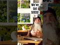 Our Seed Catalogue is Live! Grow Your Own Food while Living in Harmony with Nature!