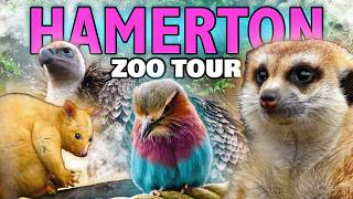 🦚 Hamerton Zoo Park | Zoo Tours with Leaf