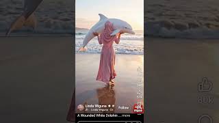 mizanur Rahman azhari #shortvideo #streetfood #s