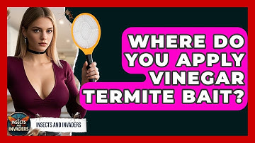 Where Do You Apply Vinegar Termite Bait? - Insects and Invaders