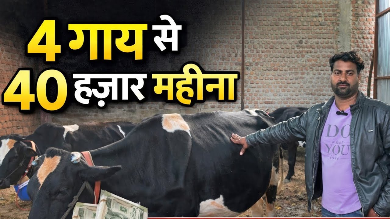 4 गाय से 40000 महीना कमाई | नया डेयरी फ़ार्म कैसे शुरू करे | लागत ,खर्चा ,कमाई | The Indian Dairy 