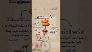 Zindagi ghuzarna ka do Rasta hain# Islamic reminder #words of light # viral shots #peacefulquran