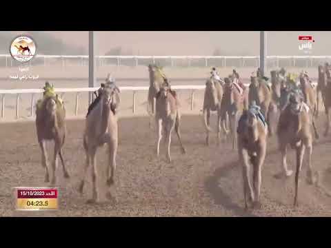 الشوط 11 مهرجان الظفرة 2023 رهوه أحمد خلفان موسى الهاملي التوقيت 7 46 7