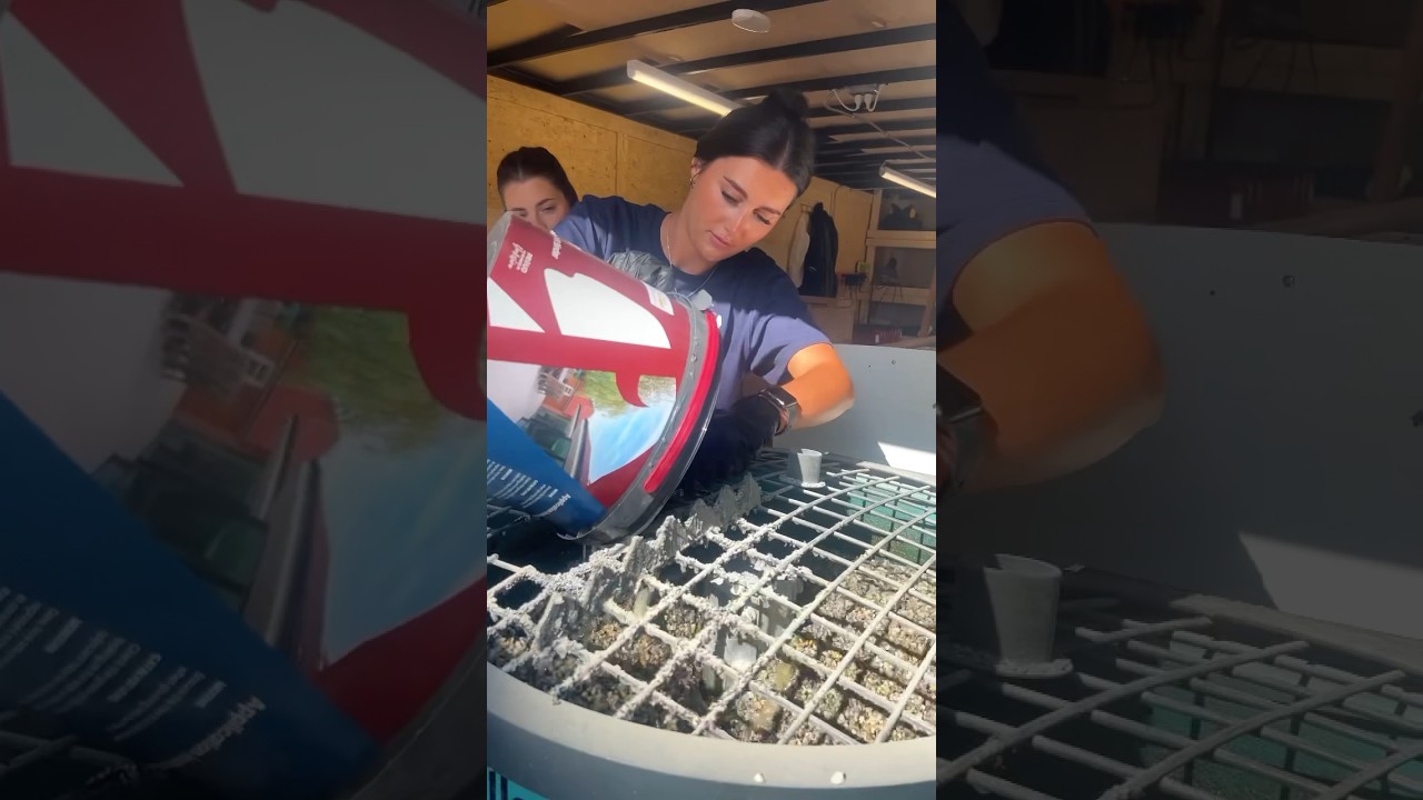 Teaching training course attendees how to lay Resin bound in the US. Vuba style🚀🦬🇺🇸 