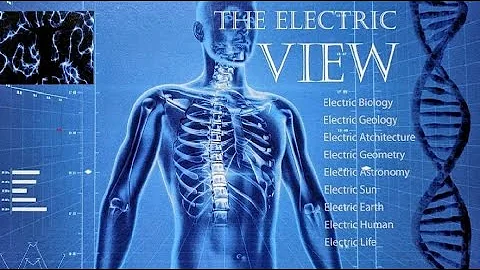 The Electric View - Electric Universe Theory With ...