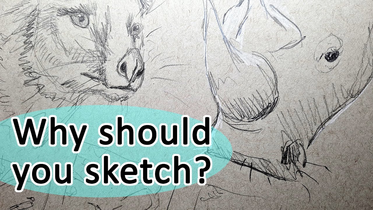 Ready for the 1minute sketching challenge?