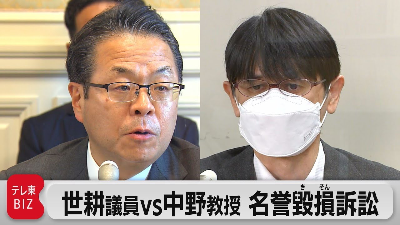 Defamation lawsuit between Representative Seko and Professor
